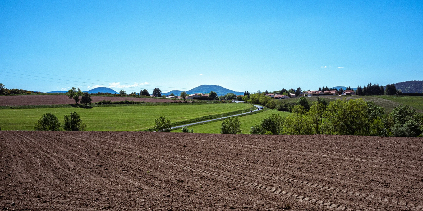 Allègement et Dispense de Formation avec une Licence en Sciences de l'Éducation