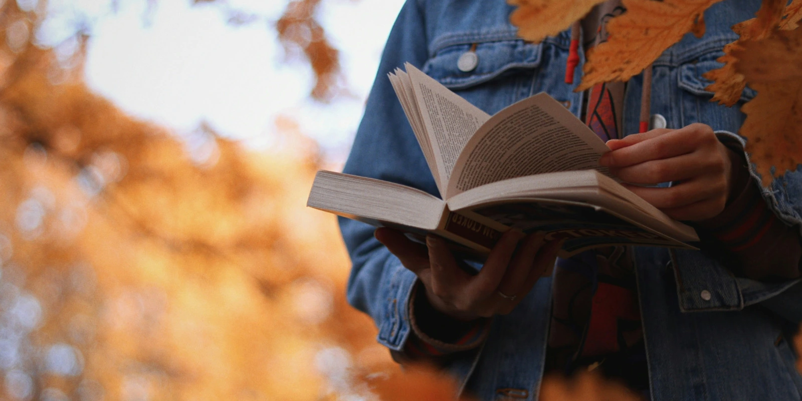 Avantages de la VAE pour la Licence SEF (Sciences de l'Éducation et de la Formation)