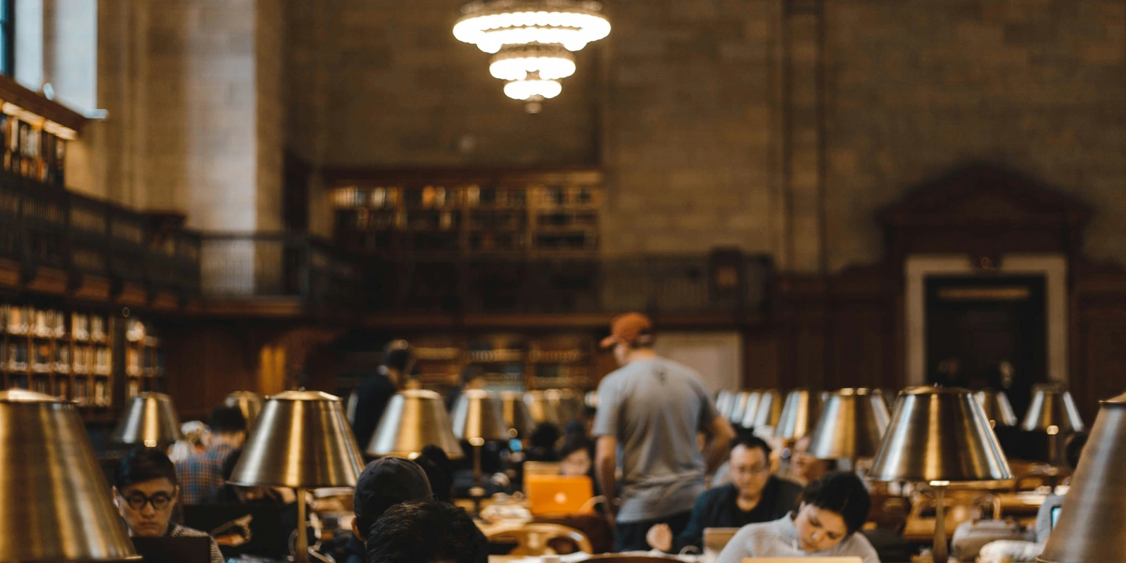 Formation à Distance en Licence Siences de l'Éducation et de la Formation