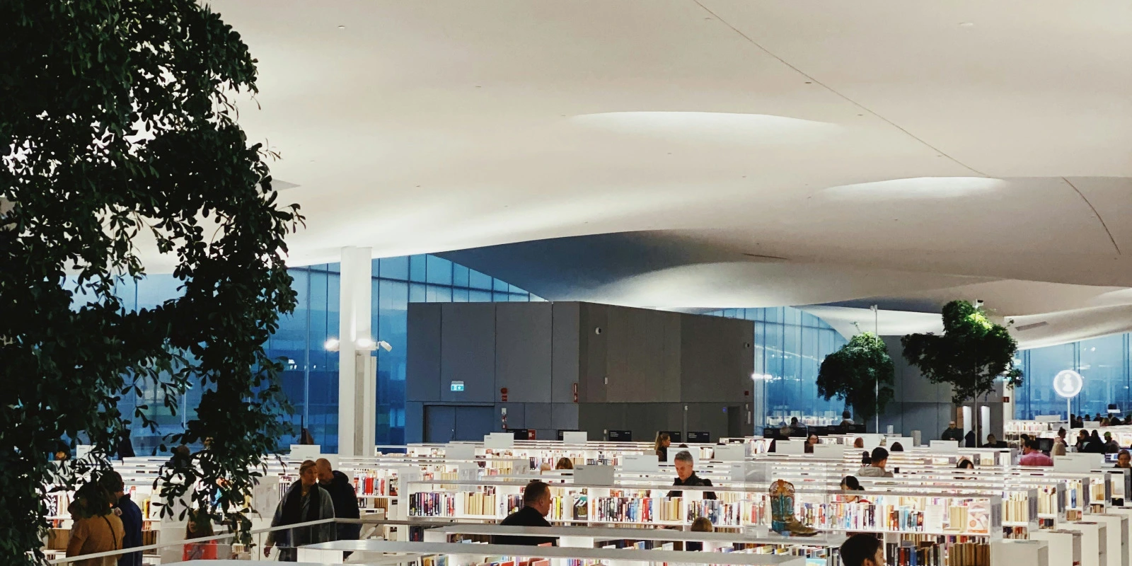 Licence Sciences de l'Éducation - Parcours Formation des Adultes