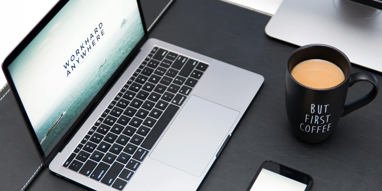 Licence SEF (Sciences de l'Éducation et de la Formation) : Spécificités