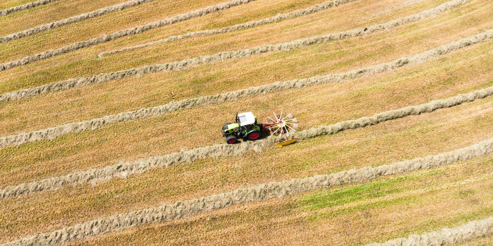 Pourquoi Suivre une Licence Sciences de l'Éducation - Formation Continue
